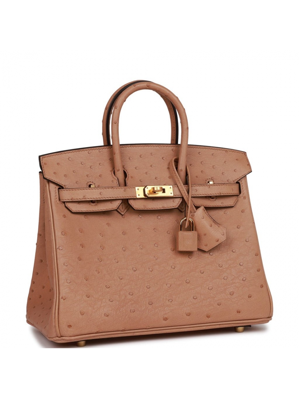 Сумка Hermes Birkin 25 из кожи страуса